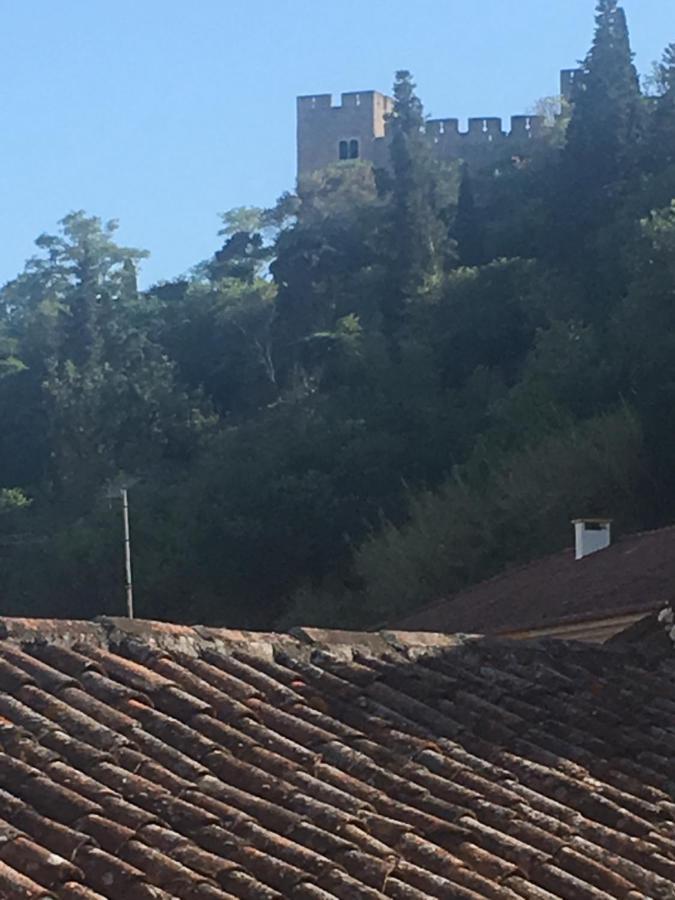 Castle, Terrace And Relax Apartment Tomar Bagian luar foto